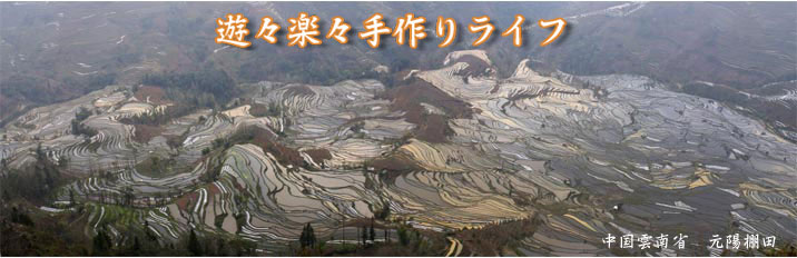�V�X�y�X���胉�C�t