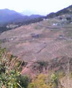 �疇�c